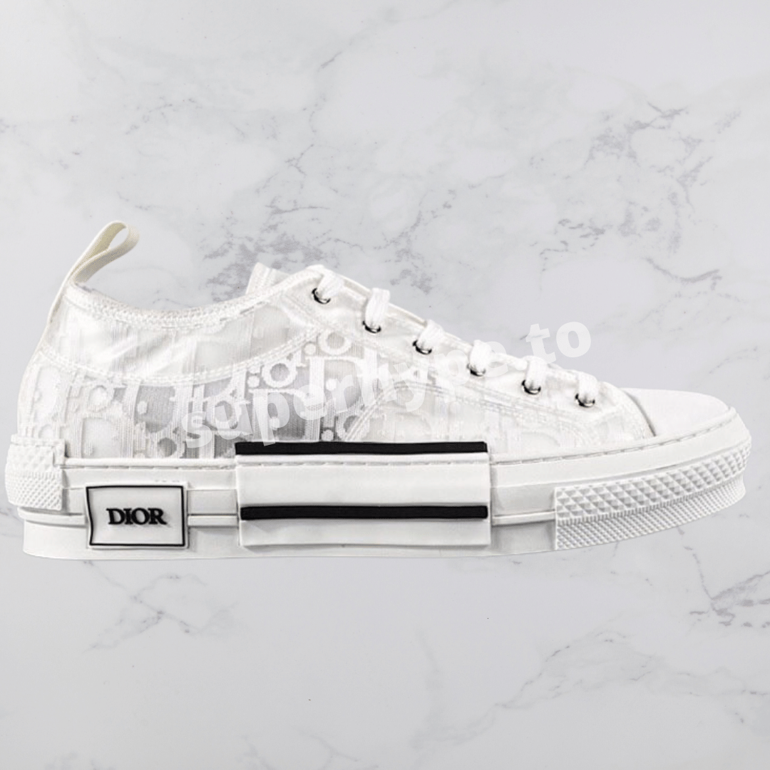 dior low top shoes